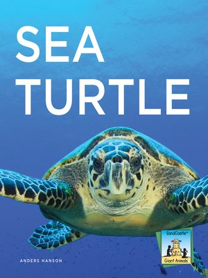 cover image of Sea Turtle
